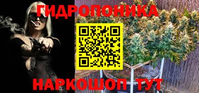 соль ск Краснодар