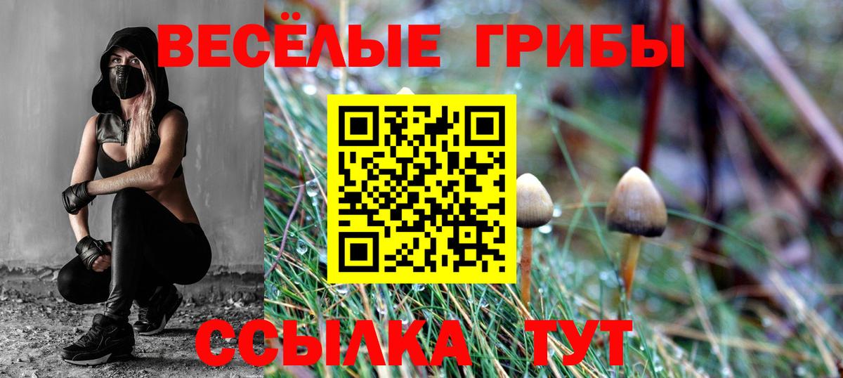Псилоцибиновые грибы Magic Shrooms  Вход с VPN  Жуковский 