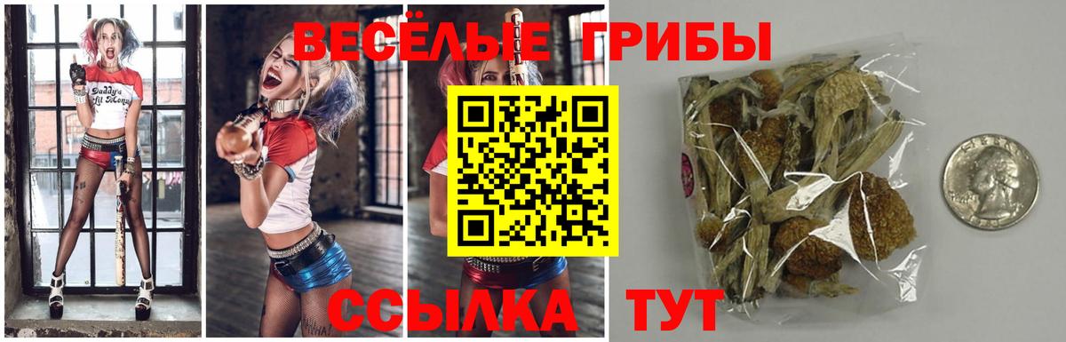 Галлюциногенные грибы Psilocybine cubensis Жуковский
