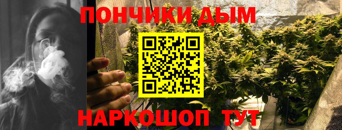 Жуковский  Бошки марихуана план  Каннабис VHQ  Вход с VPN  МАРИХУАНА ГИДРОПОН 